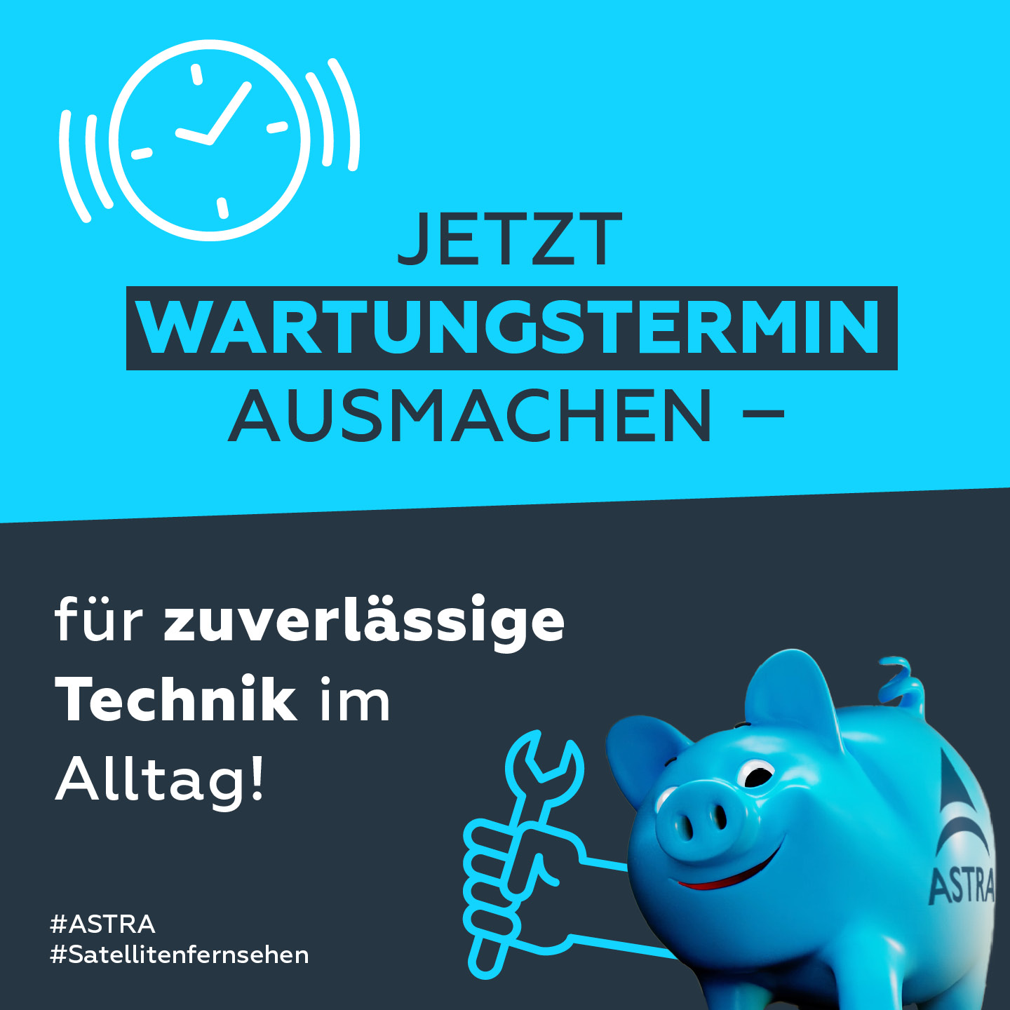ASTRA Wartungserinnerung mit astra PIGGY