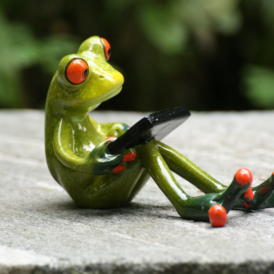 Ein Frosch mit einem Tablet in der Hand.